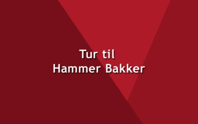 Tur til Hammer Bakker